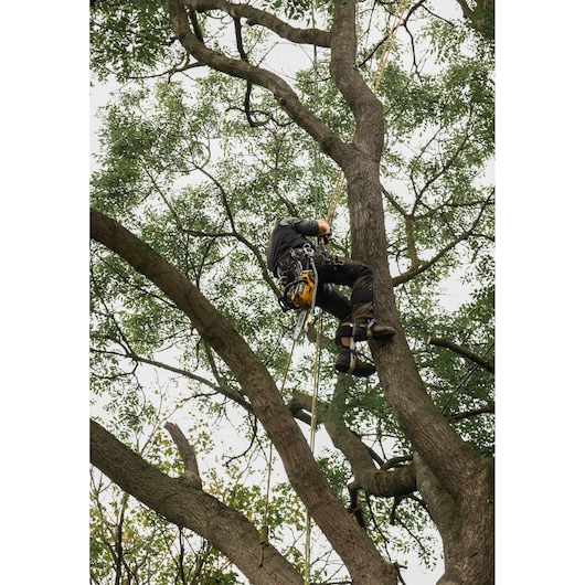 Arborist climbing a tree with the DEWALT 54V XR FLEXVOLT Compact Top Handle Chainsaw attached for use