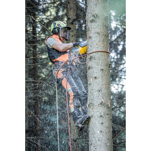 Side view of the arborist at height harnessed to to tree sawing with the DCMCST635 Top Handle Chainsaw