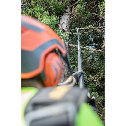 View from worker using the DEWALT 54V Tele Pole Saw 4.0M 30CM on tree branch.
